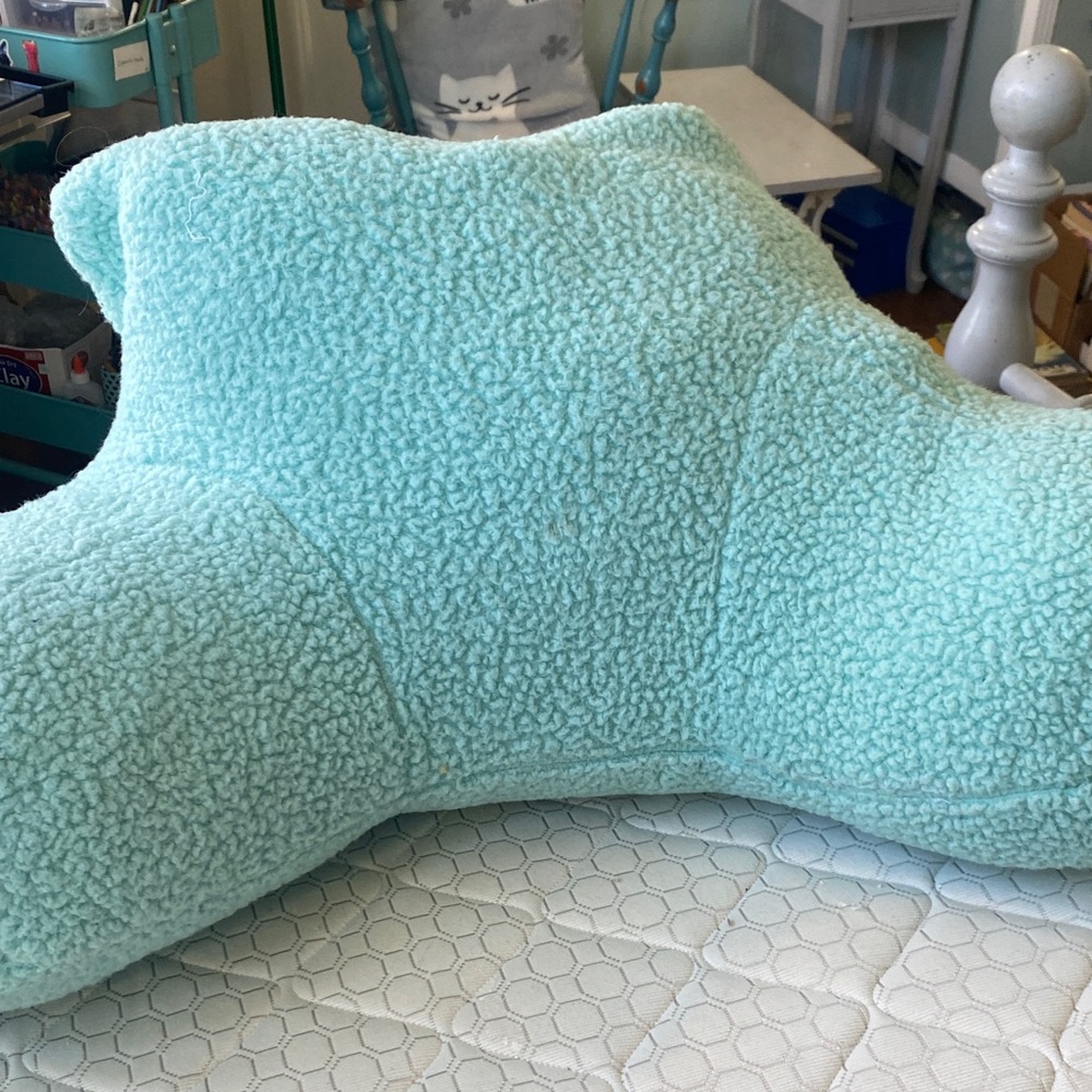 Pottery Barn Teen Plush Sherpa Bed Rest Pillow - Aqua